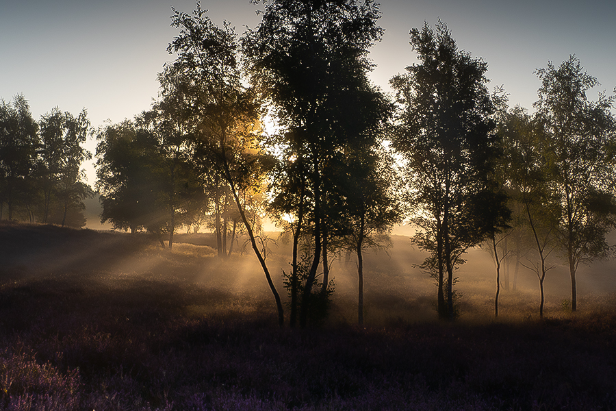 Landscape Photography